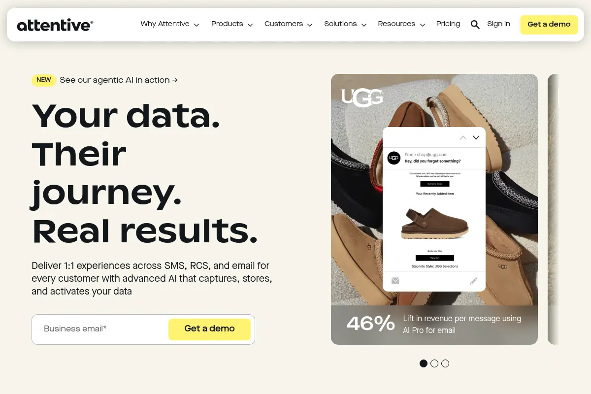 Attentive website preview