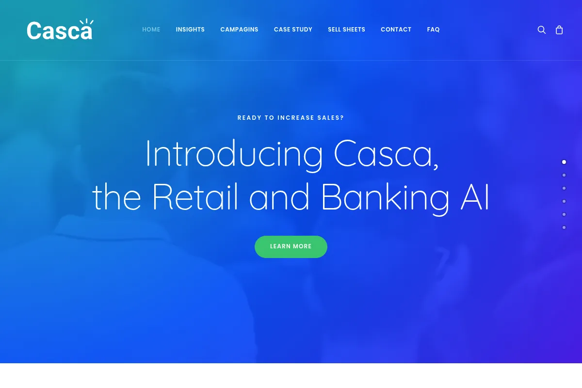 Casca website preview