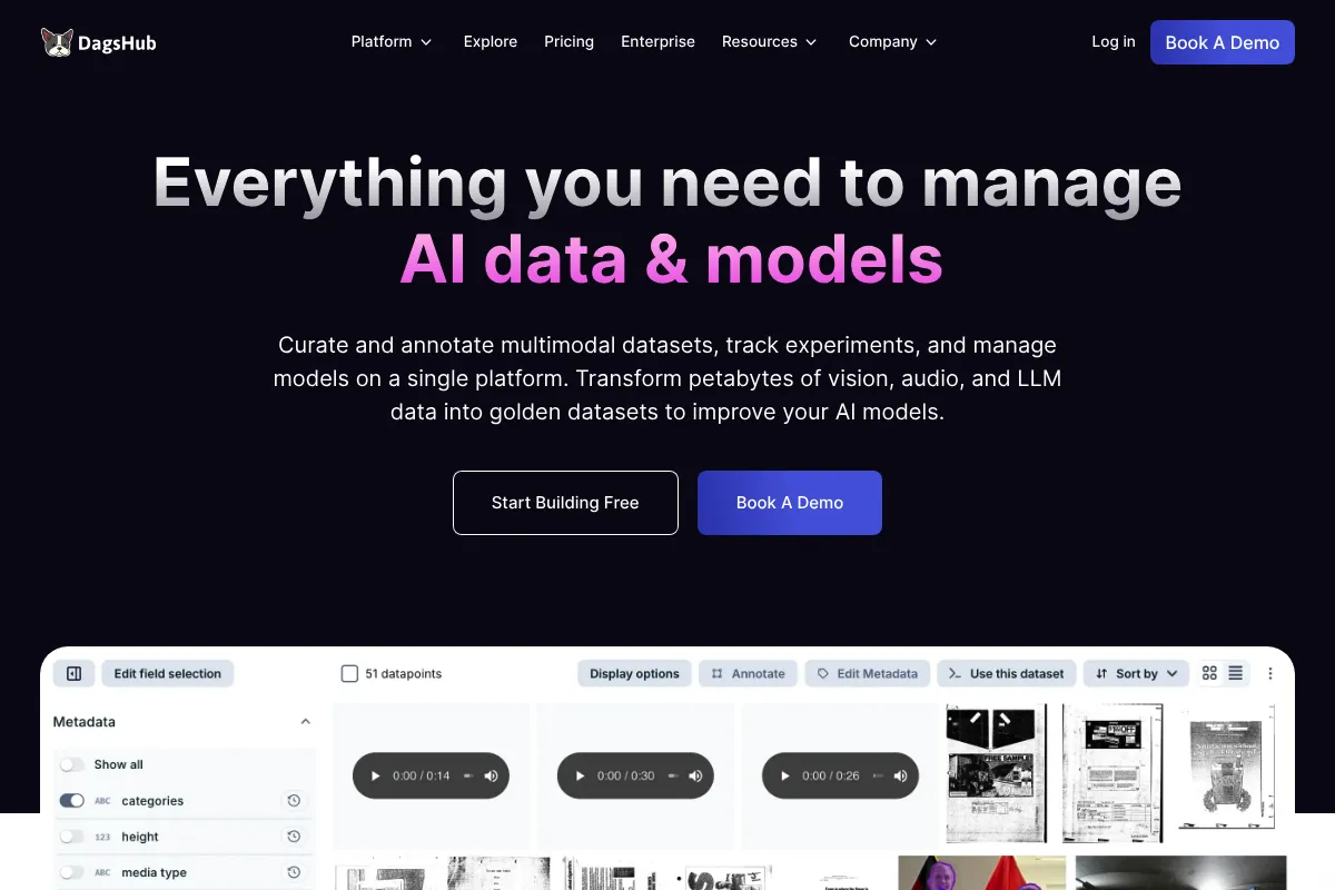 DagsHub website preview