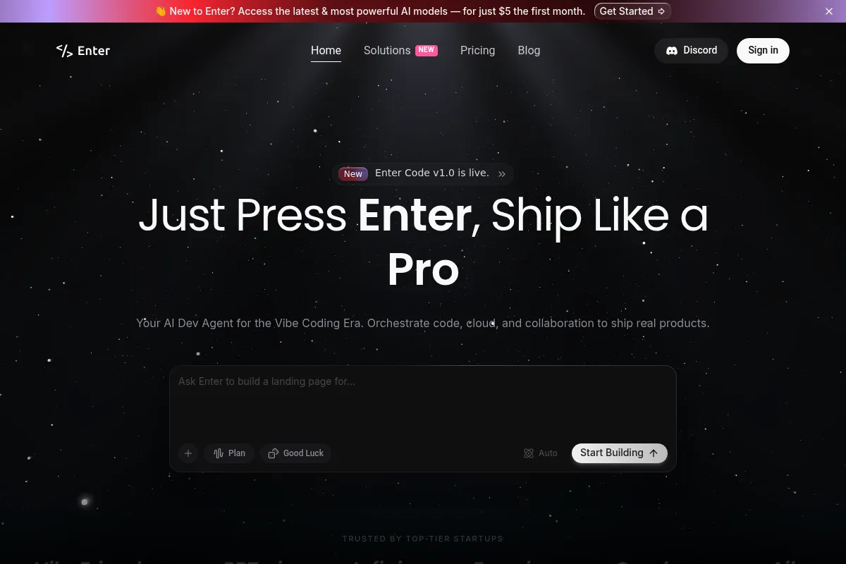 Enter Pro website preview
