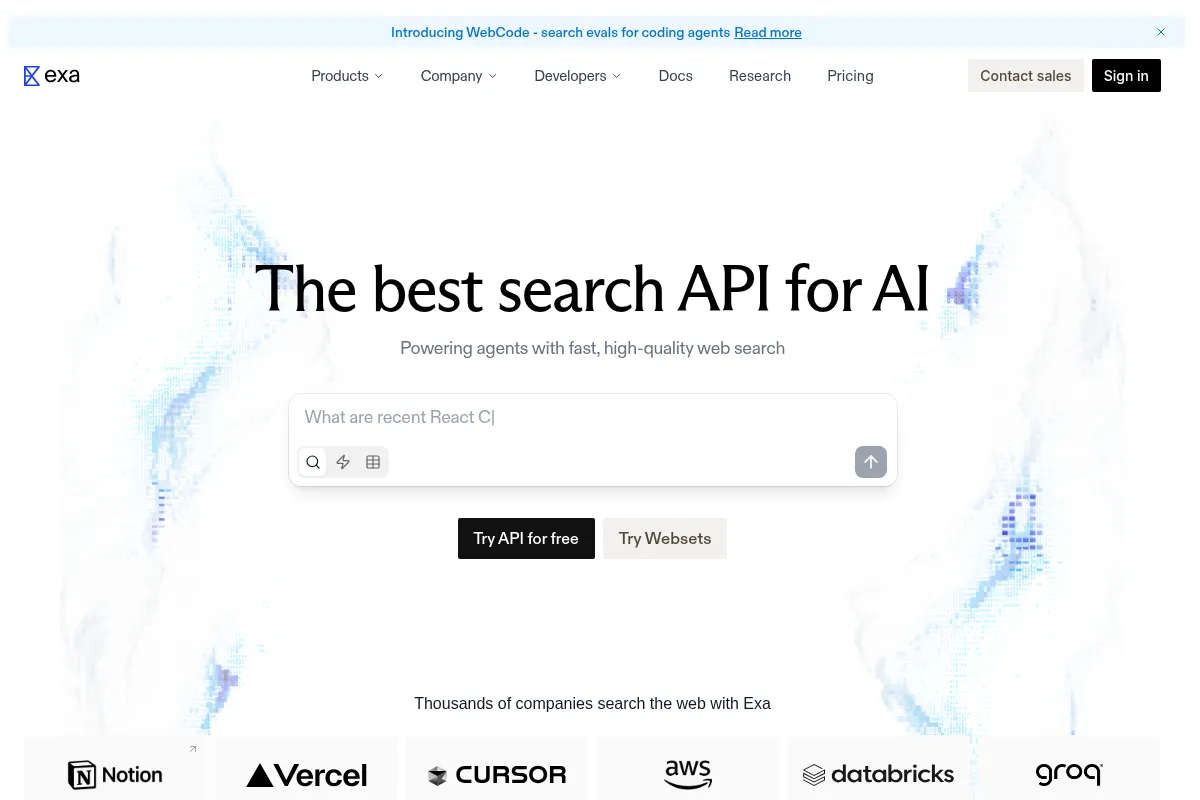 Exa website preview