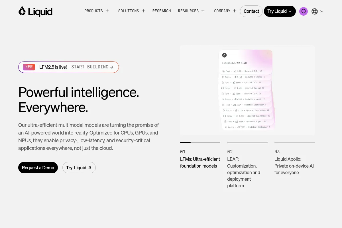 Liquid AI website preview
