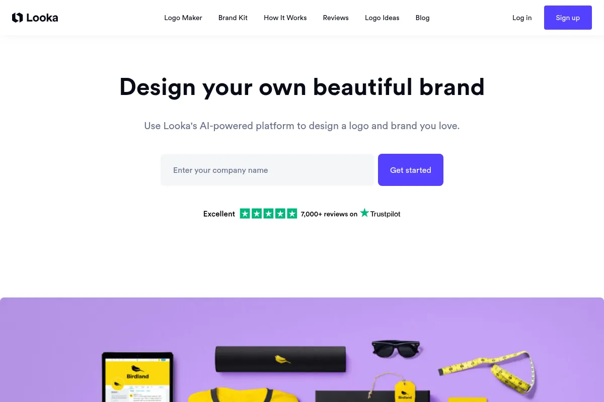 Looka website preview