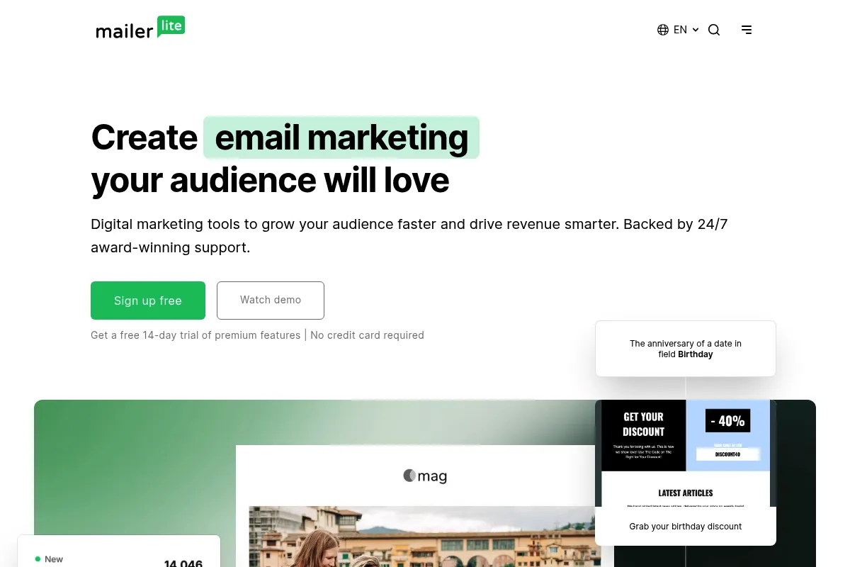 MailerLite website preview