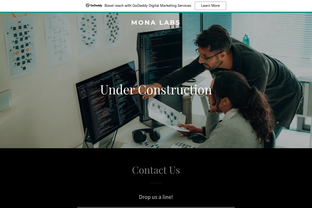 Mona website preview
