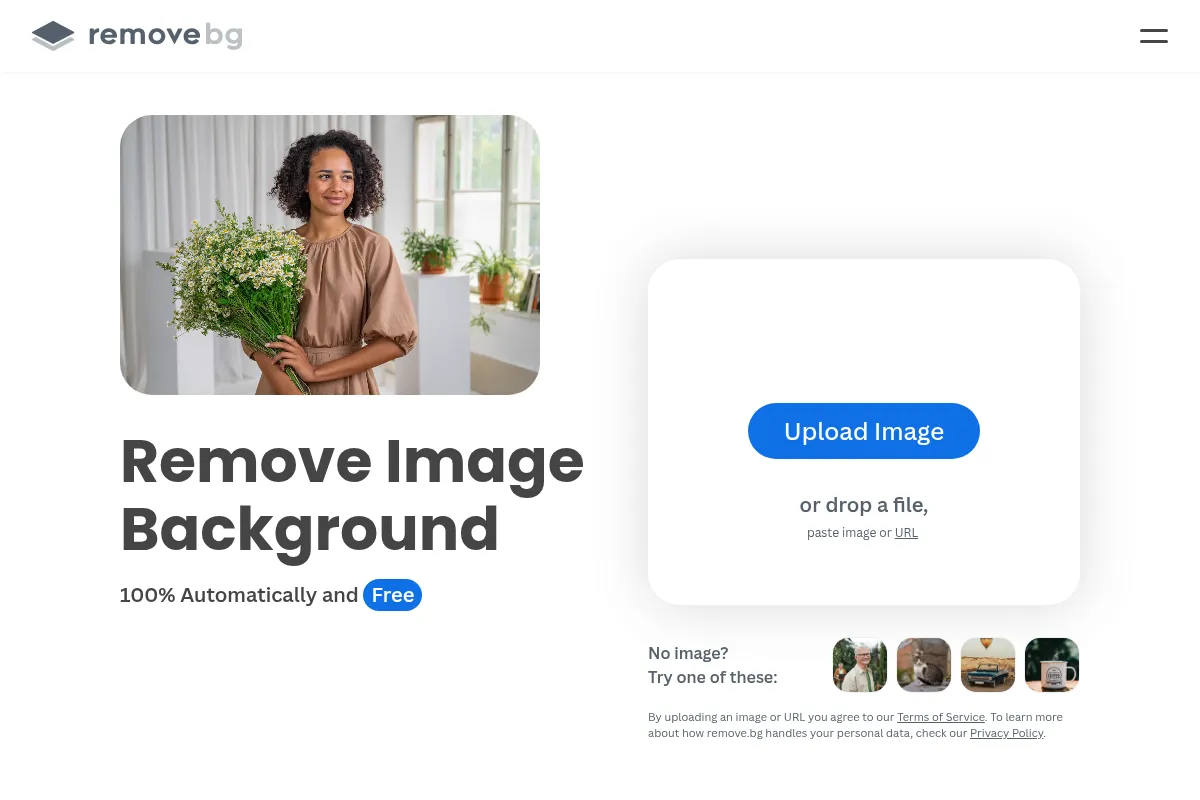 Remove.bg website preview