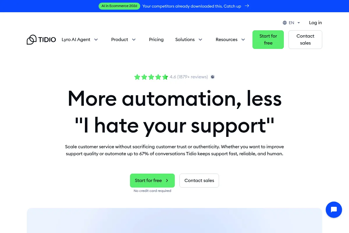 Tidio website preview