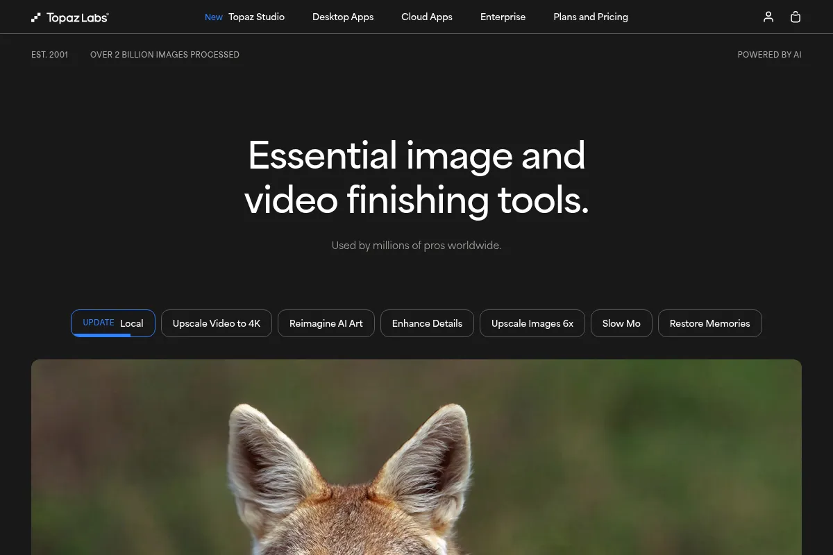 Topaz Labs website preview