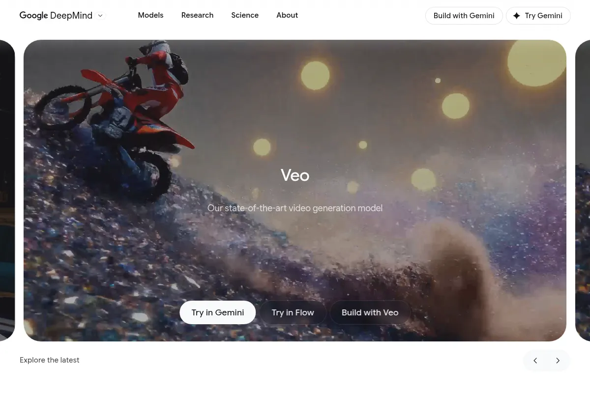 Veo website preview