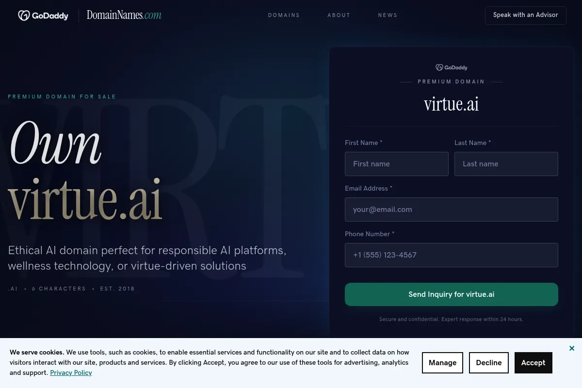 Virtue website preview