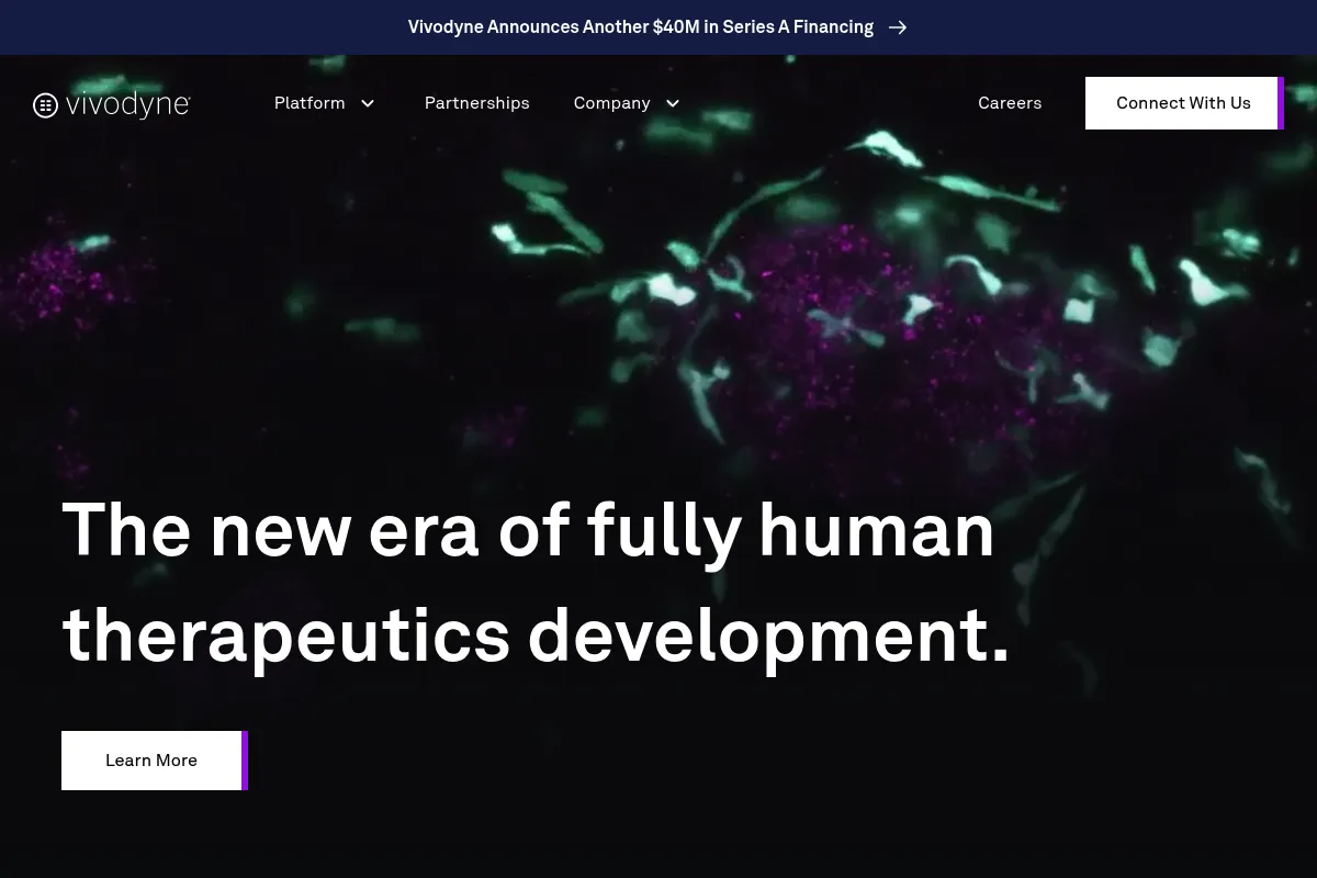 Vivodyne website preview
