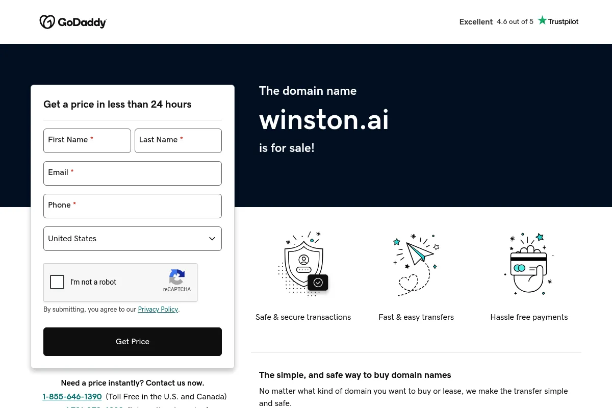 Winston AI website preview