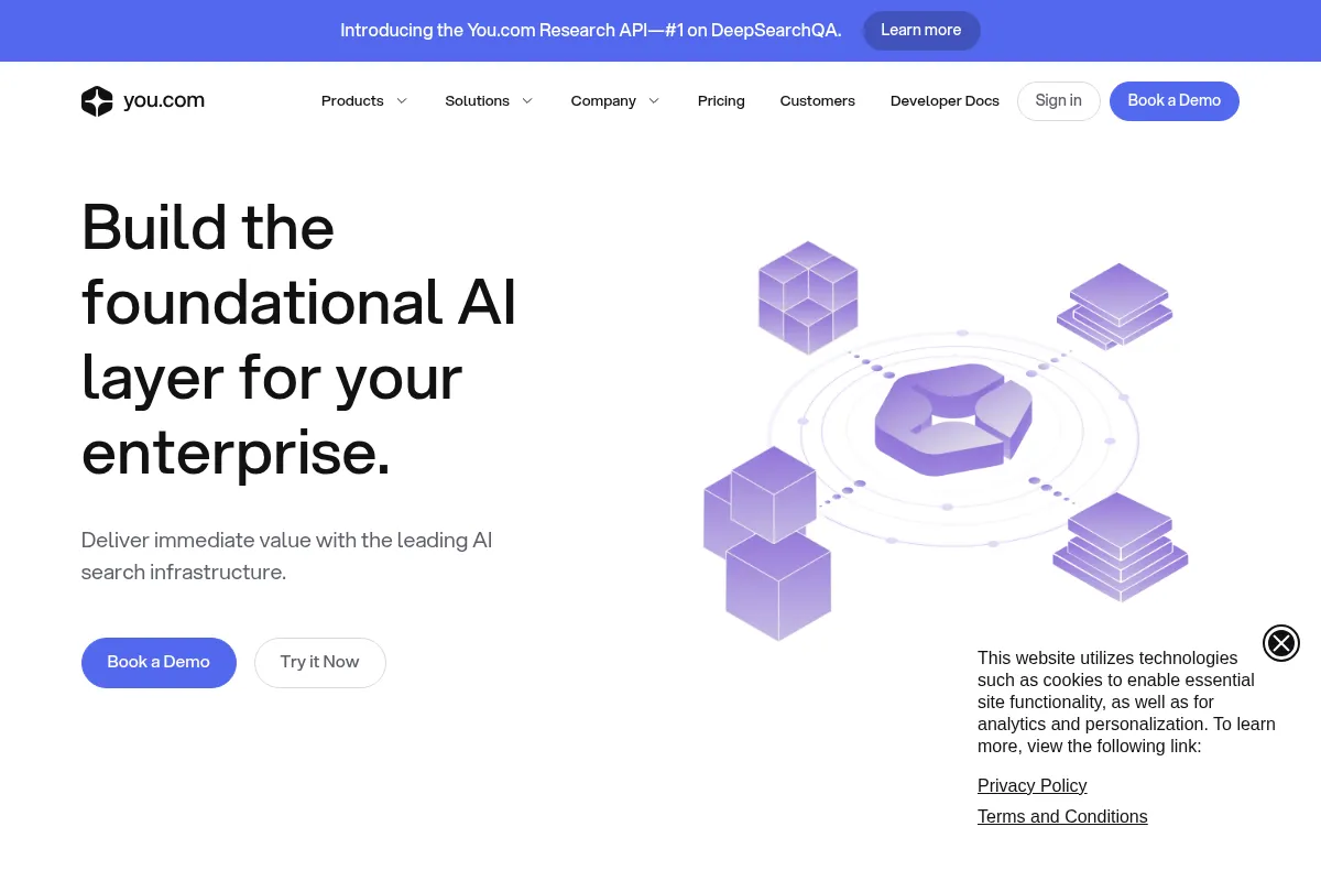 You.com website preview