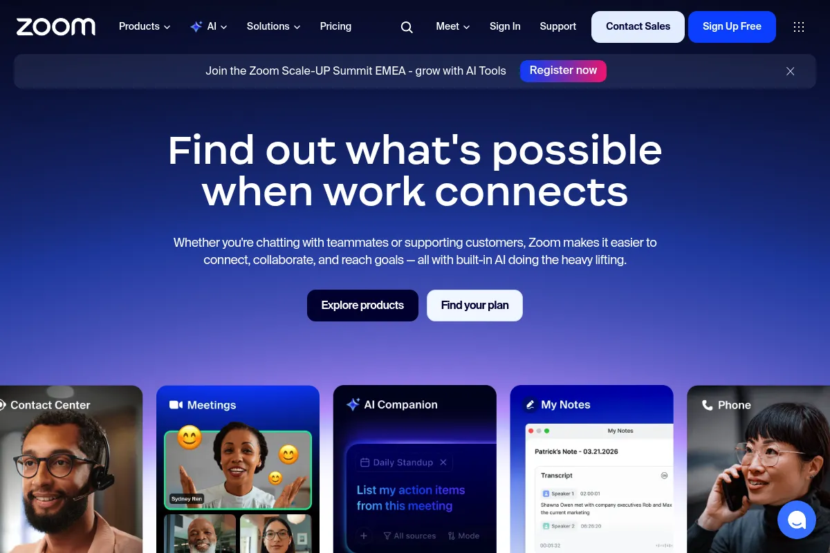 Zoom website preview
